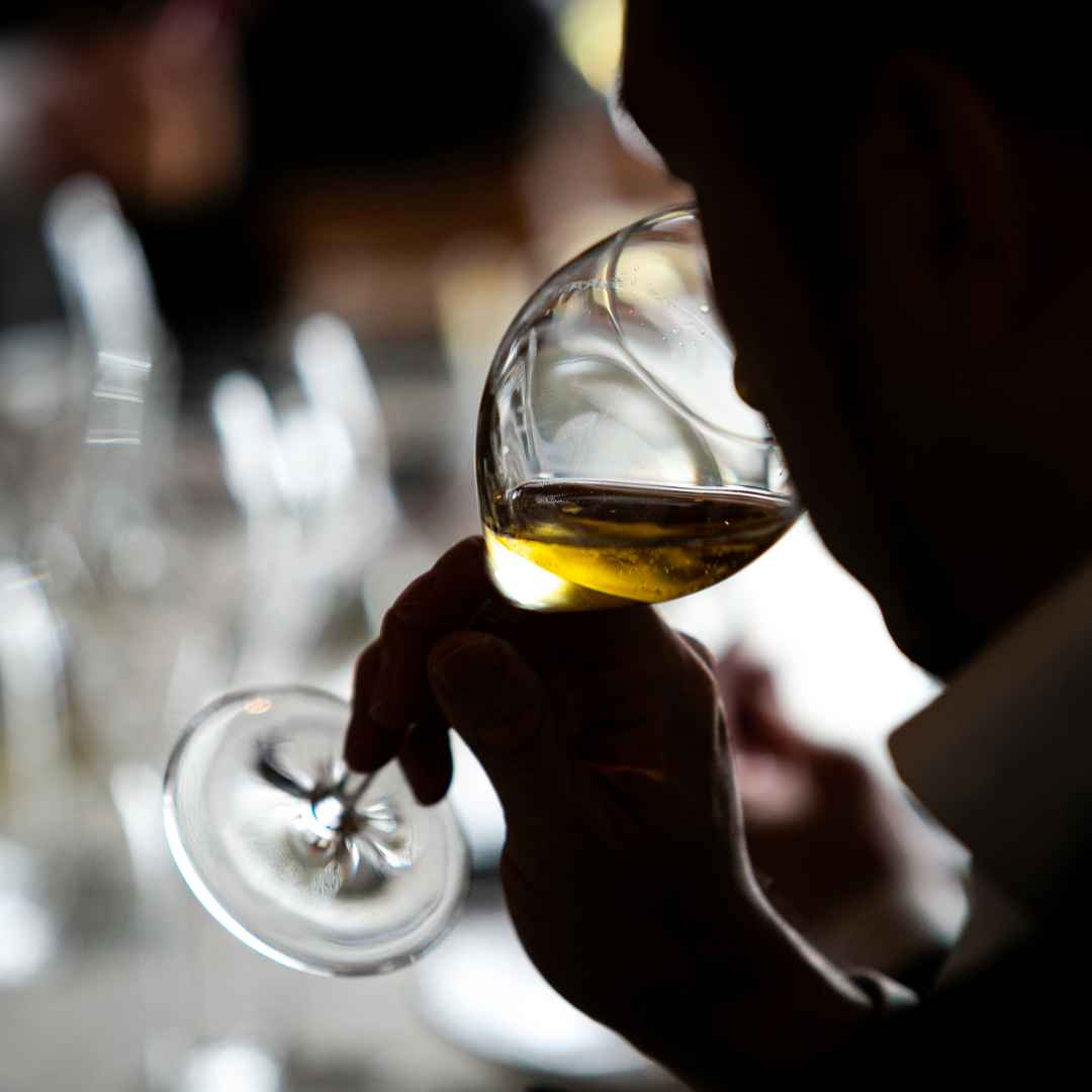 Hire a Sommelier for corporate events